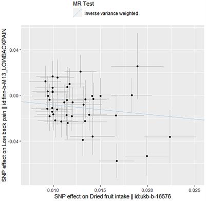 Dried fruit intake causally protects against low back pain: A Mendelian randomization study